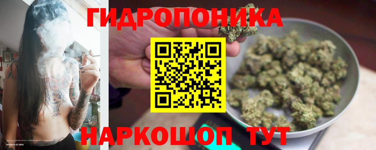 Каннабис сатива Мыски